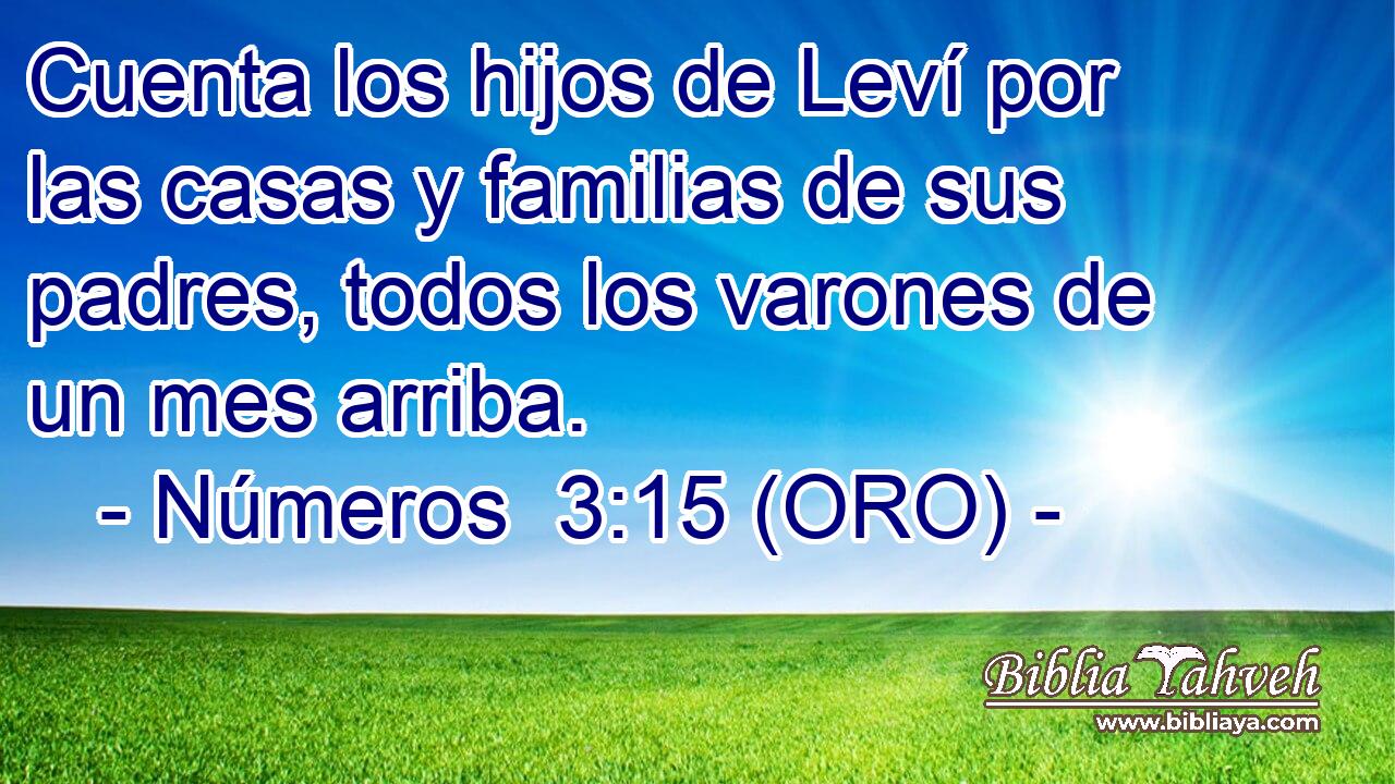  Cuenta los hijos de Leví por las casas y familias de sus padres, todos los varones de un mes arriba. 