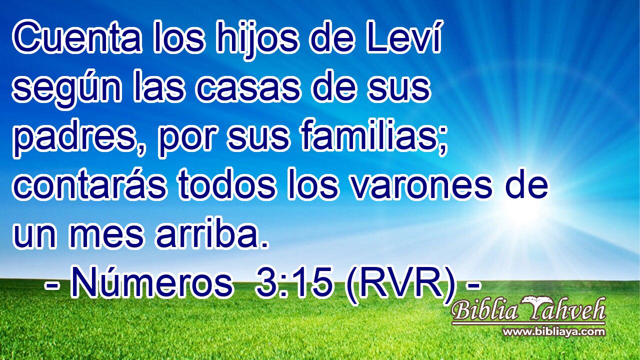 Cuenta los hijos de Leví según las casas de sus padres, por sus familias; contarás todos los varones de un mes arriba.