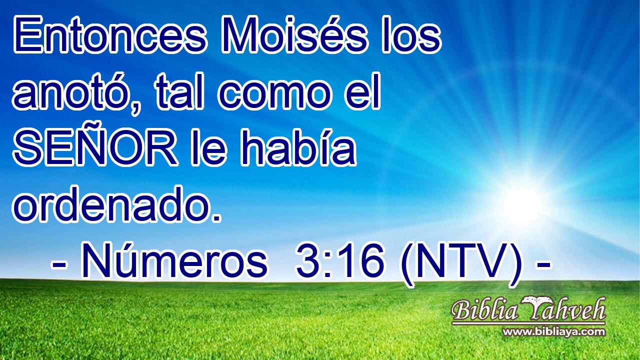 Entonces Moisés los anotó, tal como el SEÑOR le había ordenado.