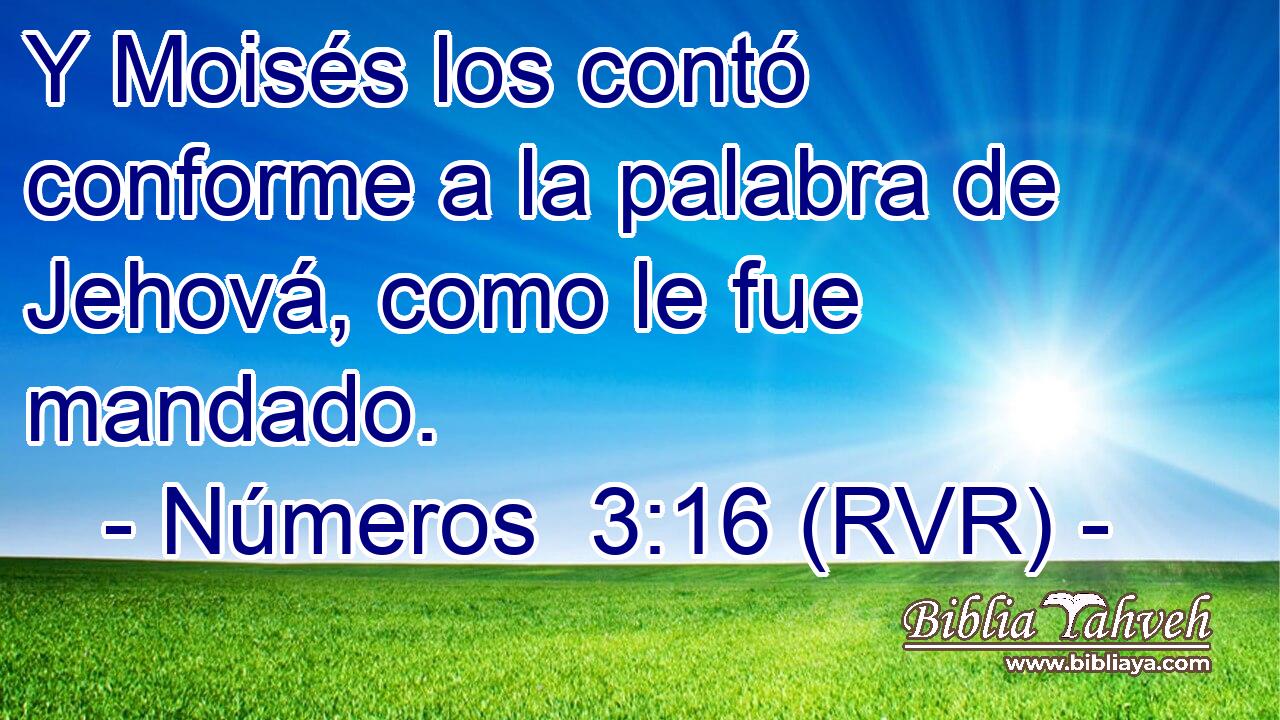 Y Moisés los contó conforme a la palabra de Jehová, como le fue mandado.