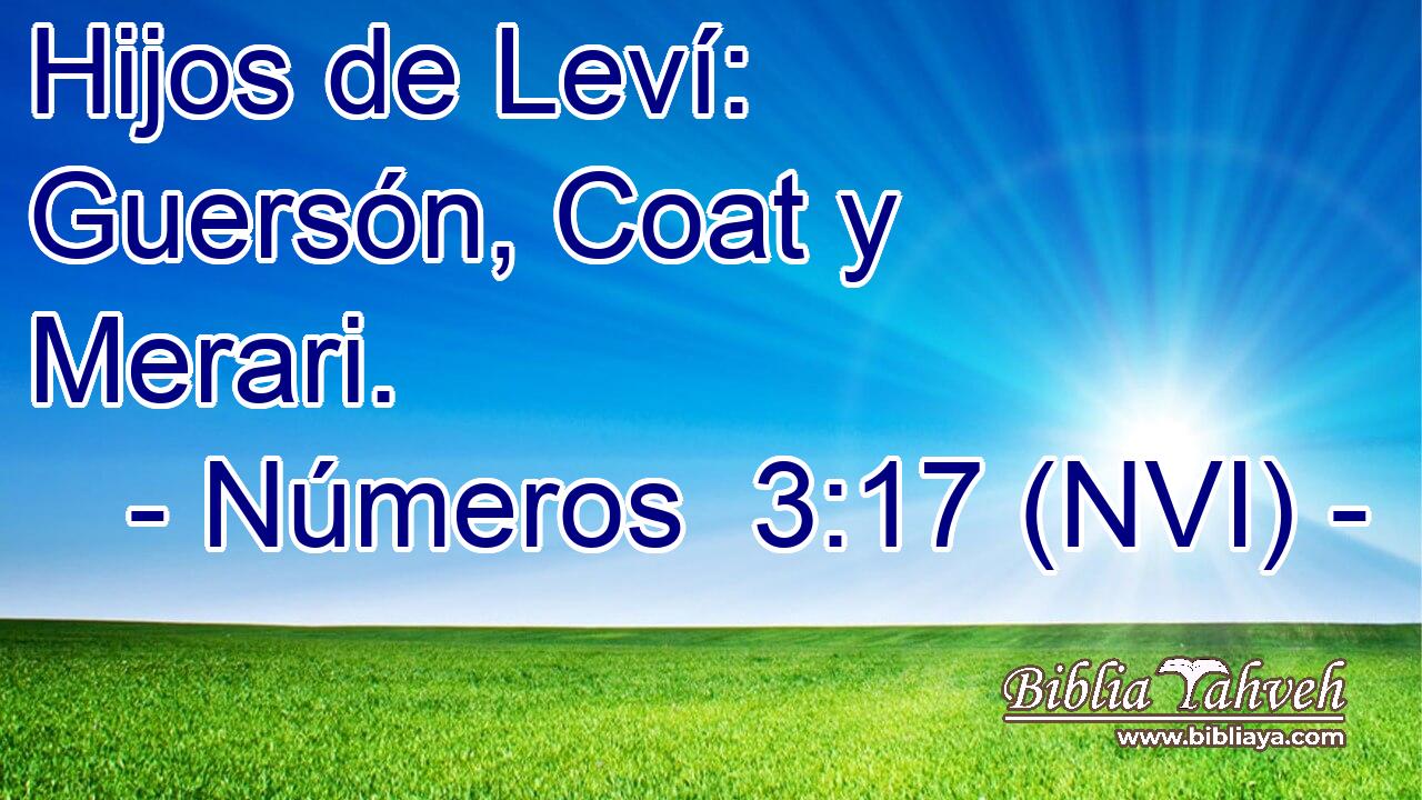  Hijos de Leví: Guersón, Coat y Merari. 