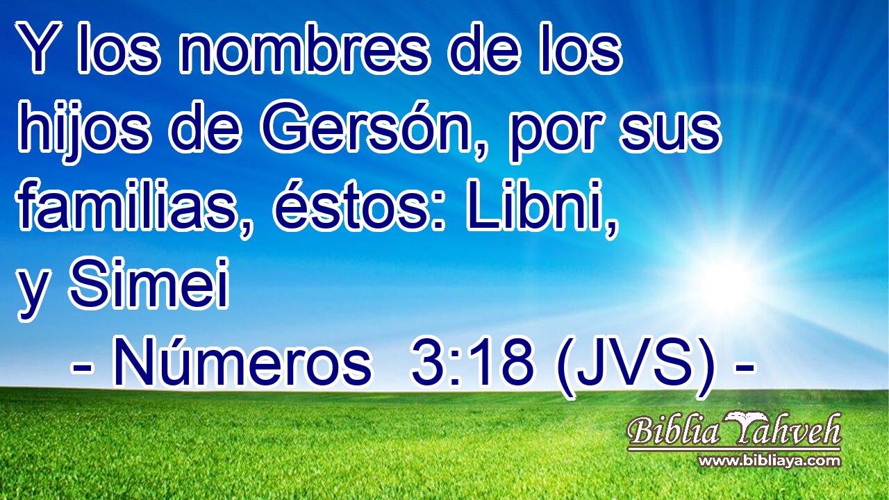 Y los nombres de los hijos de Gersón, por sus familias, éstos: Libni, y Simei