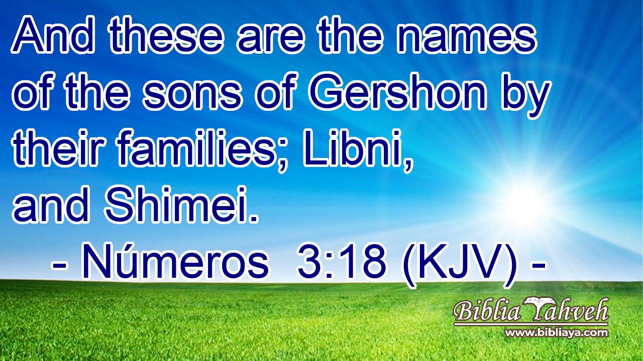 And these are the names of the sons of Gershon by their families; Libni, and Shimei.