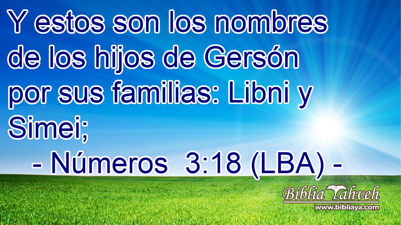 Y estos son los nombres de los hijos de Gersón por sus familias: Libni y Simei;