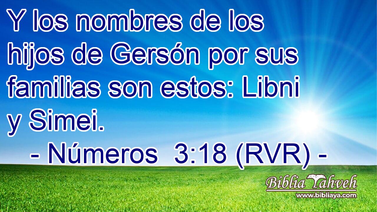 Y los nombres de los hijos de Gersón por sus familias son estos: Libni y Simei.