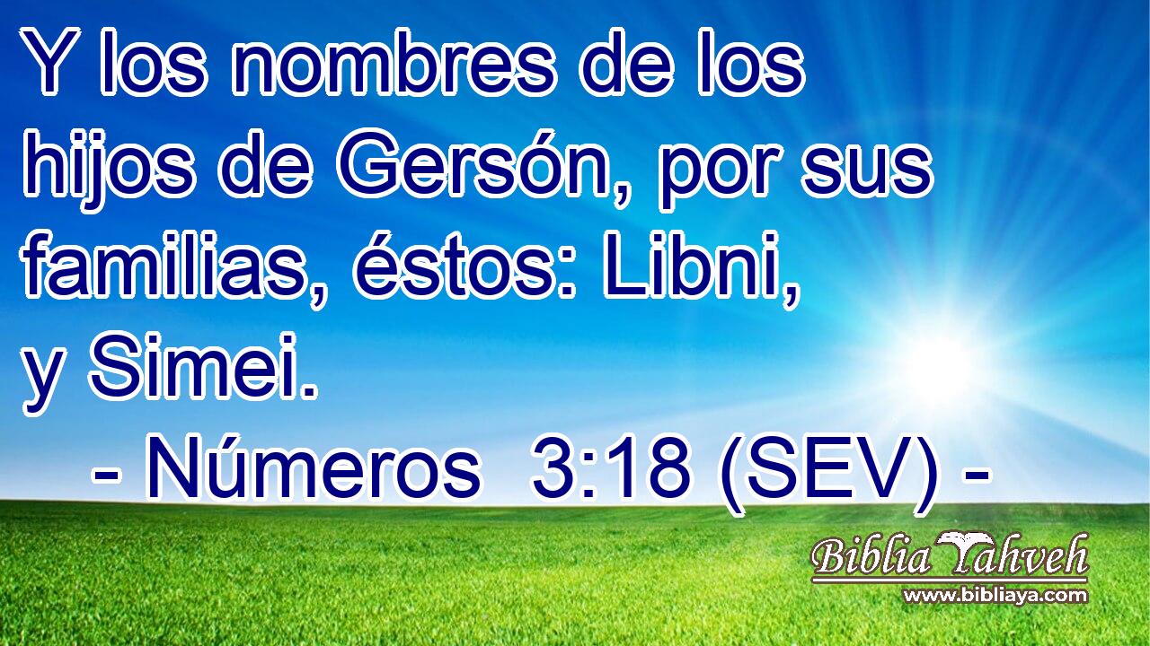 Y los nombres de los hijos de Gersón, por sus familias, éstos: Libni, y Simei.