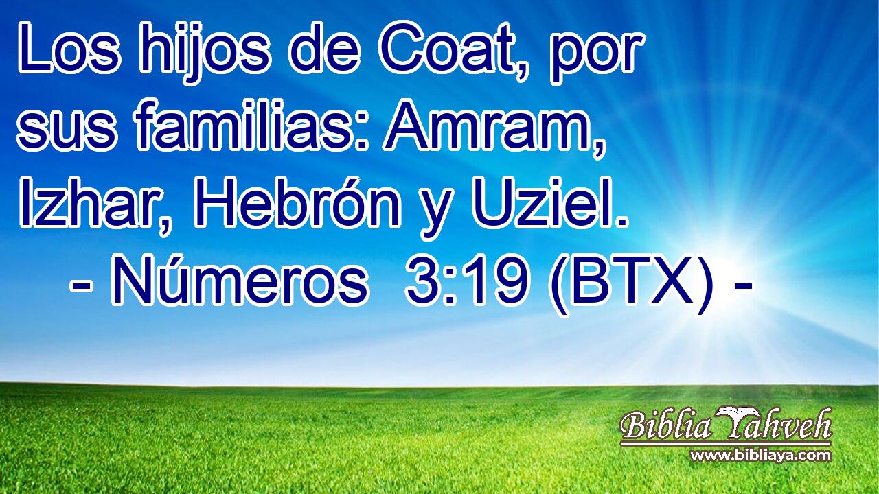 Los hijos de Coat, por sus familias: Amram, Izhar, Hebrón y Uziel.