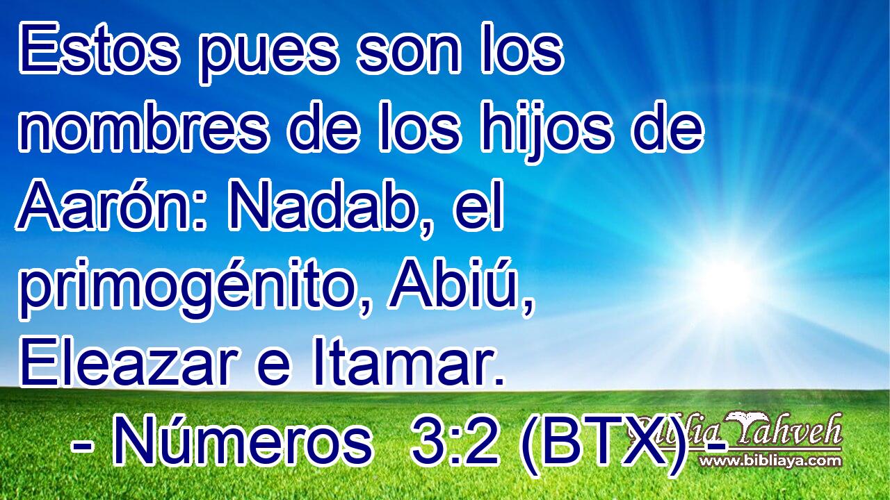 Estos pues son los nombres de los hijos de Aarón: Nadab, el primogénito, Abiú, Eleazar e Itamar.