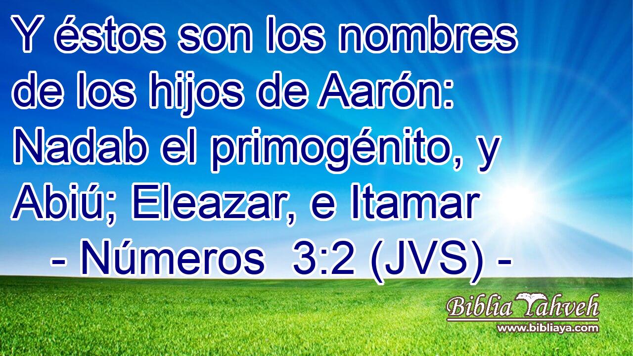 Y éstos son los nombres de los hijos de Aarón: Nadab el primogénito, y Abiú; Eleazar, e Itamar