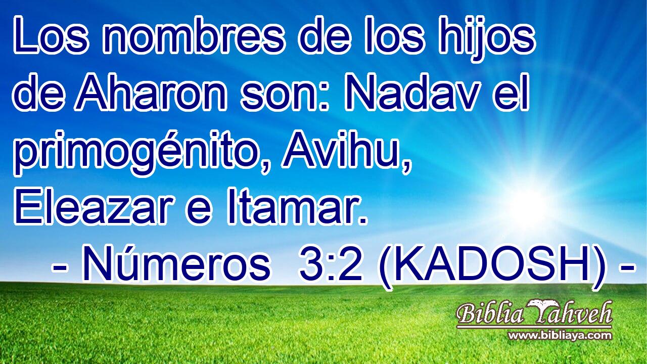  Los nombres de los hijos de Aharon son: Nadav el primogénito, Avihu, Eleazar e Itamar. 