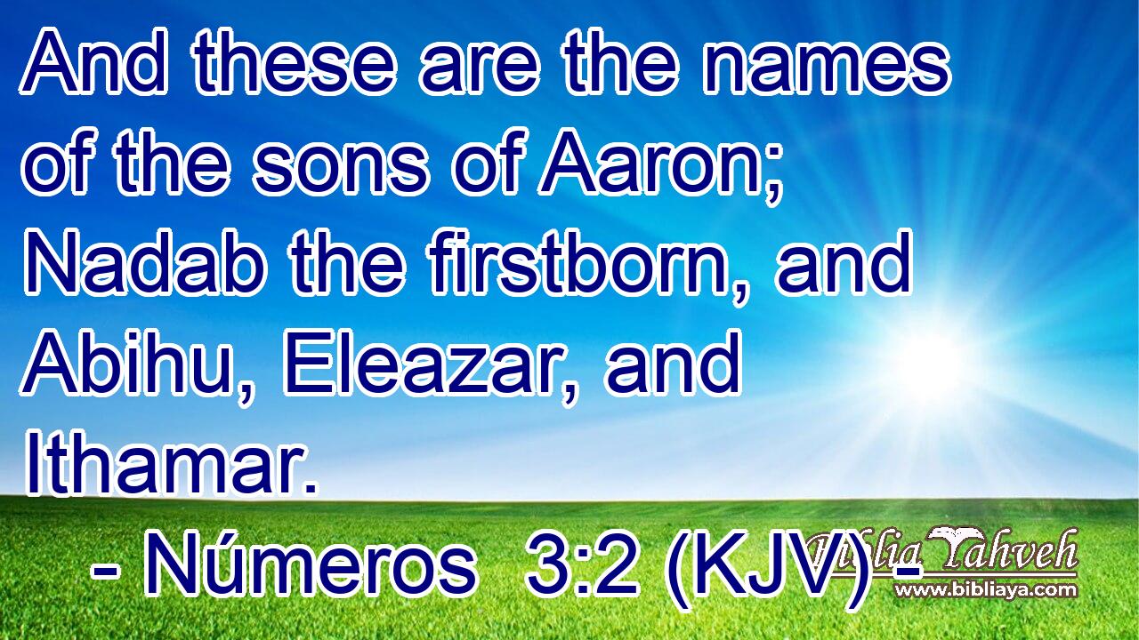 And these are the names of the sons of Aaron; Nadab the firstborn, and Abihu, Eleazar, and Ithamar.