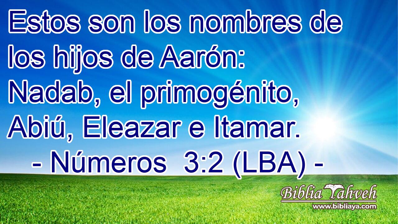 Estos son los nombres de los hijos de Aarón: Nadab, el primogénito, Abiú, Eleazar e Itamar.