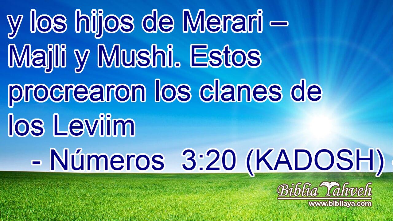  y los hijos de Merari – Majli y Mushi. Estos procrearon los clanes de los Leviim 