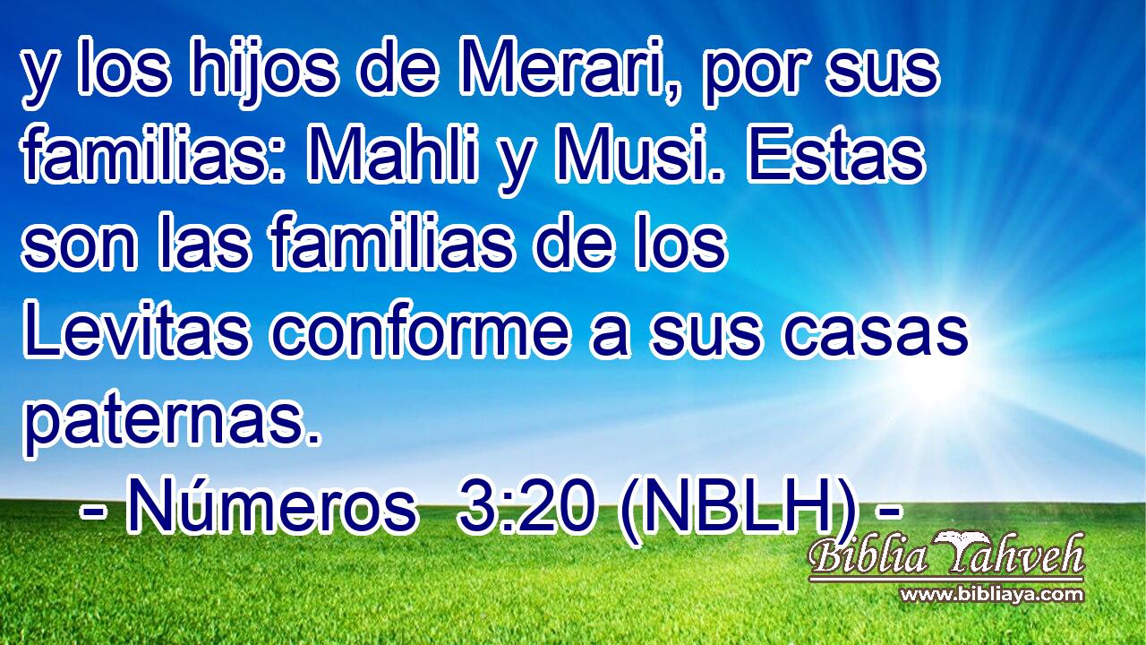  y los hijos de Merari, por sus familias: Mahli y Musi. Estas son las familias de los Levitas conforme a sus casas paternas. 