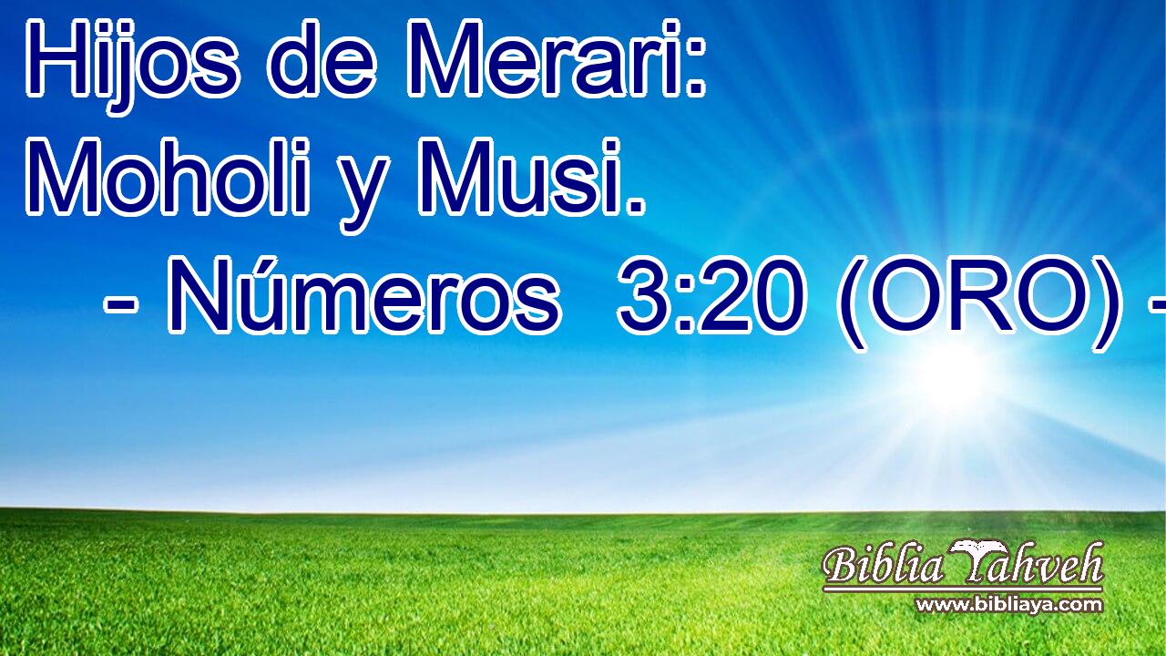  Hijos de Merari: Moholi y Musi. 