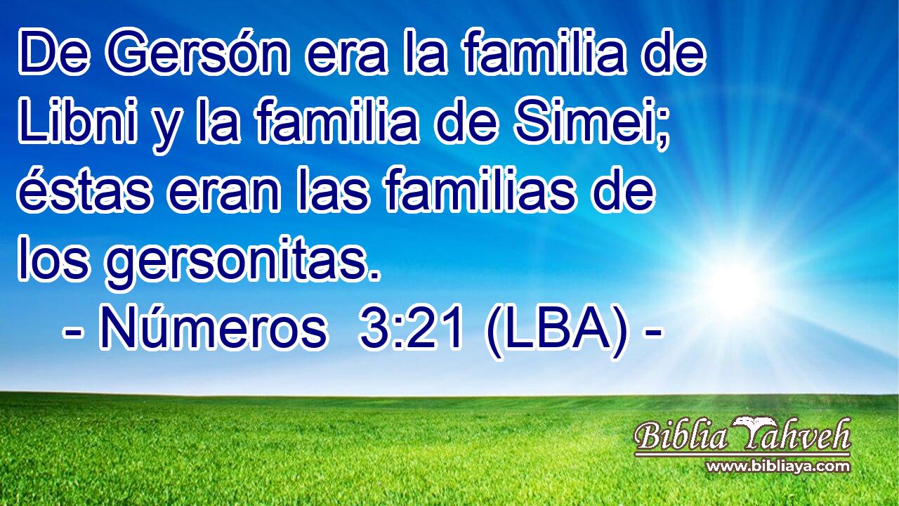 De Gersón era la familia de Libni y la familia de Simei; éstas eran las familias de los gersonitas.