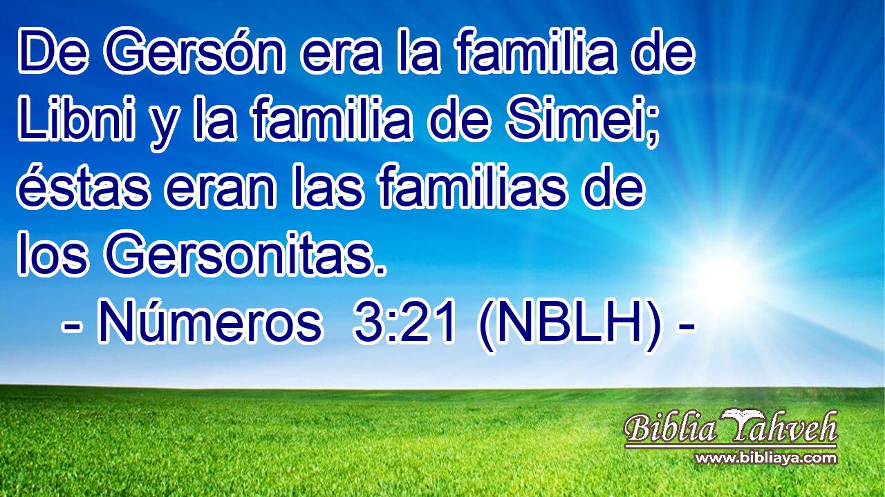  De Gersón era la familia de Libni y la familia de Simei; éstas eran las familias de los Gersonitas. 
