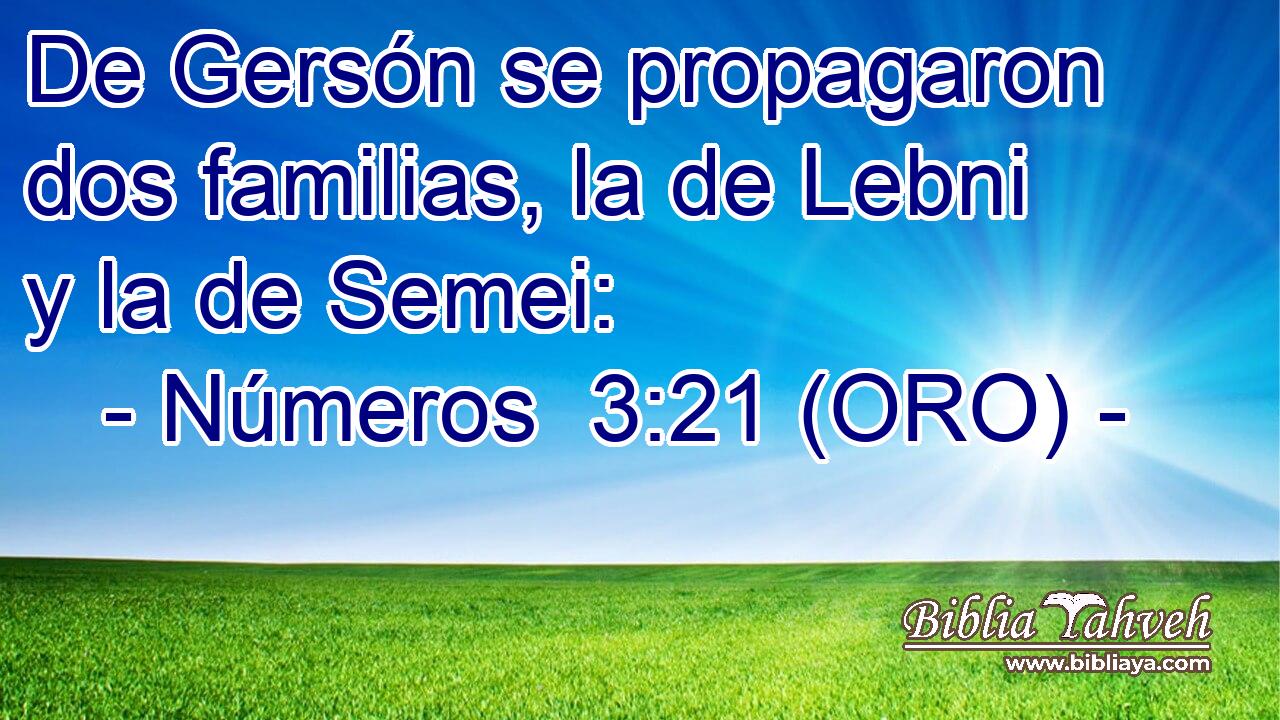  De Gersón se propagaron dos familias, la de Lebni y la de Semei: 