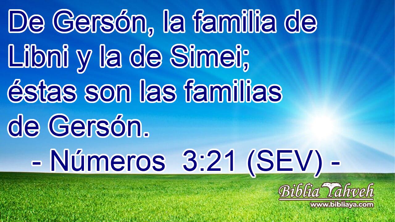 De Gersón, la familia de Libni y la de Simei; éstas son las familias de Gersón.