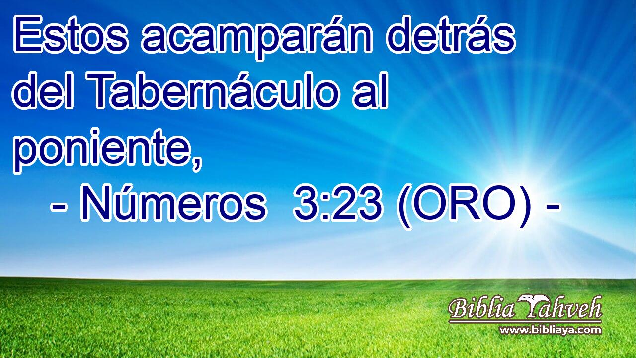  Estos acamparán detrás del Tabernáculo al poniente, 