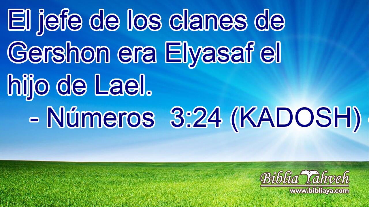  El jefe de los clanes de Gershon era Elyasaf el hijo de Lael. 