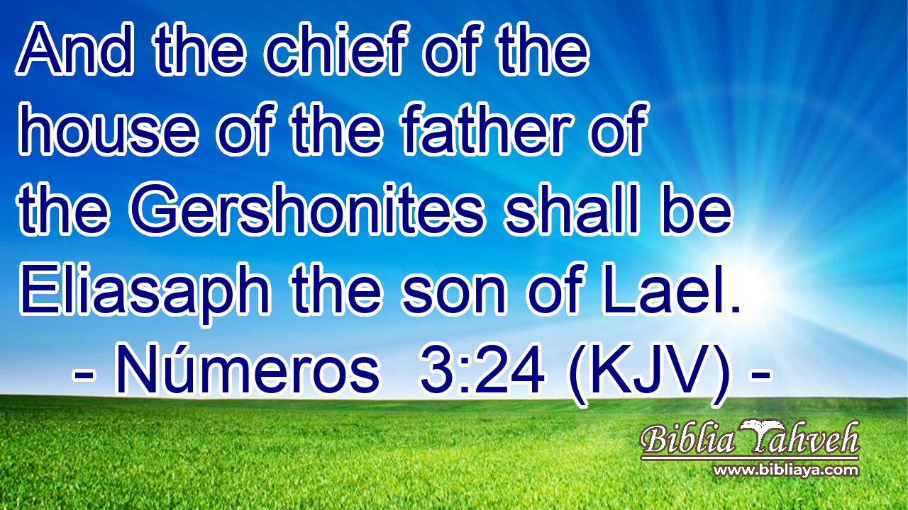 And the chief of the house of the father of the Gershonites shall be Eliasaph the son of Lael.