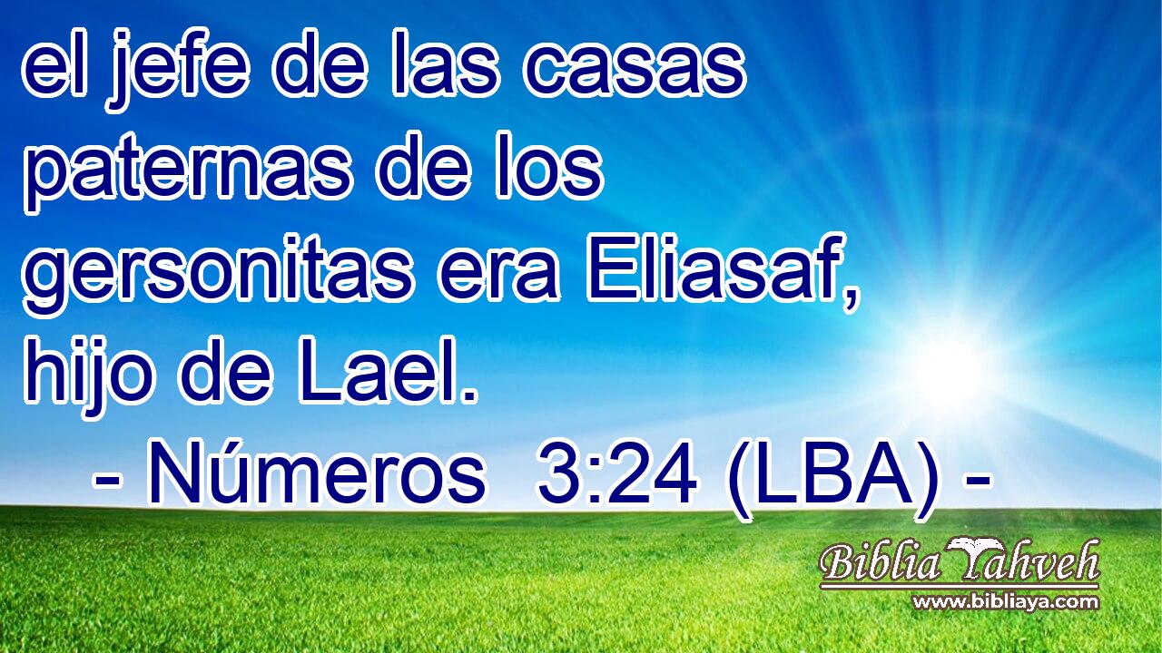 el jefe de las casas paternas de los gersonitas era Eliasaf, hijo de Lael.