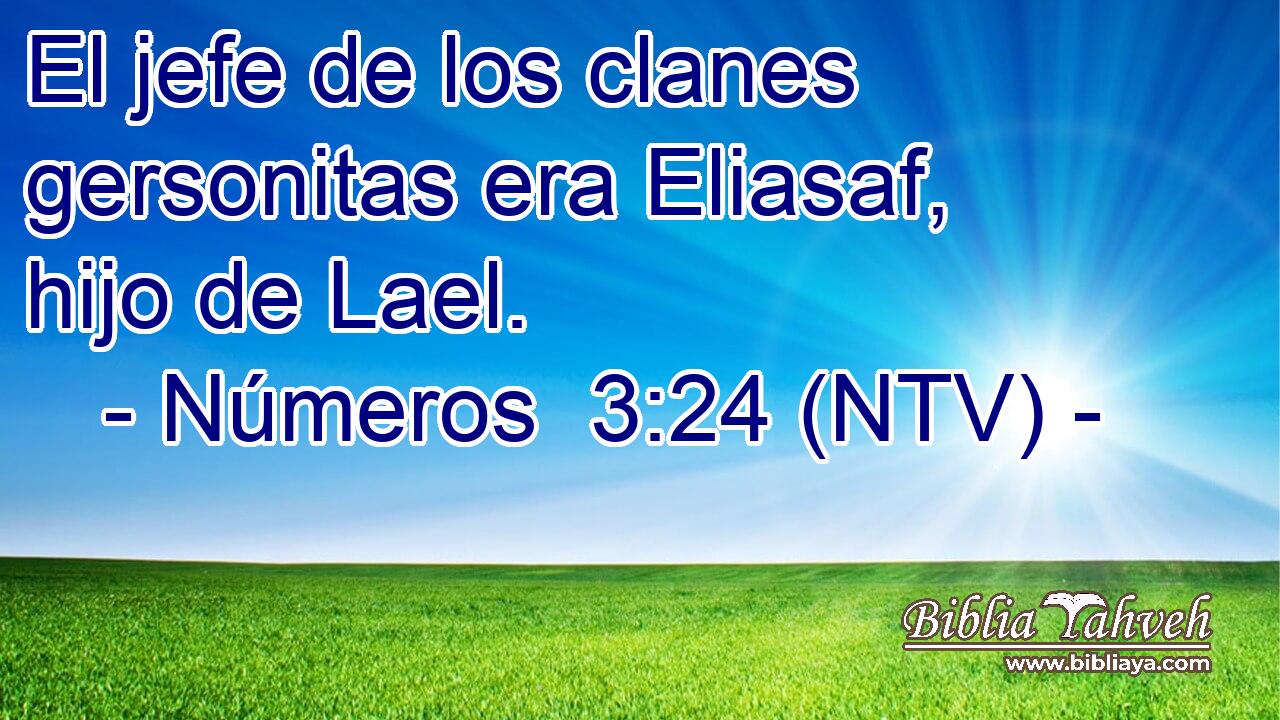 El jefe de los clanes gersonitas era Eliasaf, hijo de Lael.