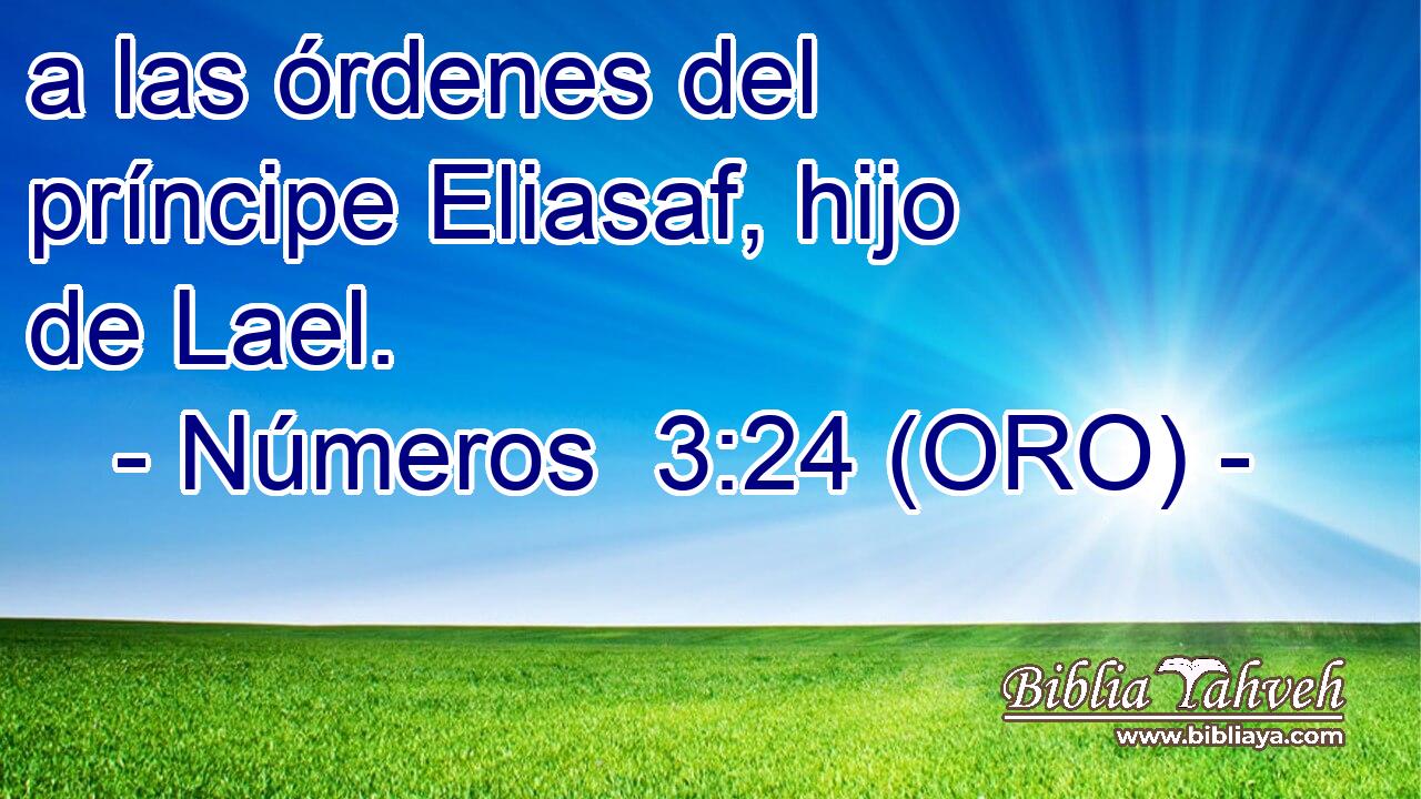 a las órdenes del príncipe Eliasaf, hijo de Lael. 