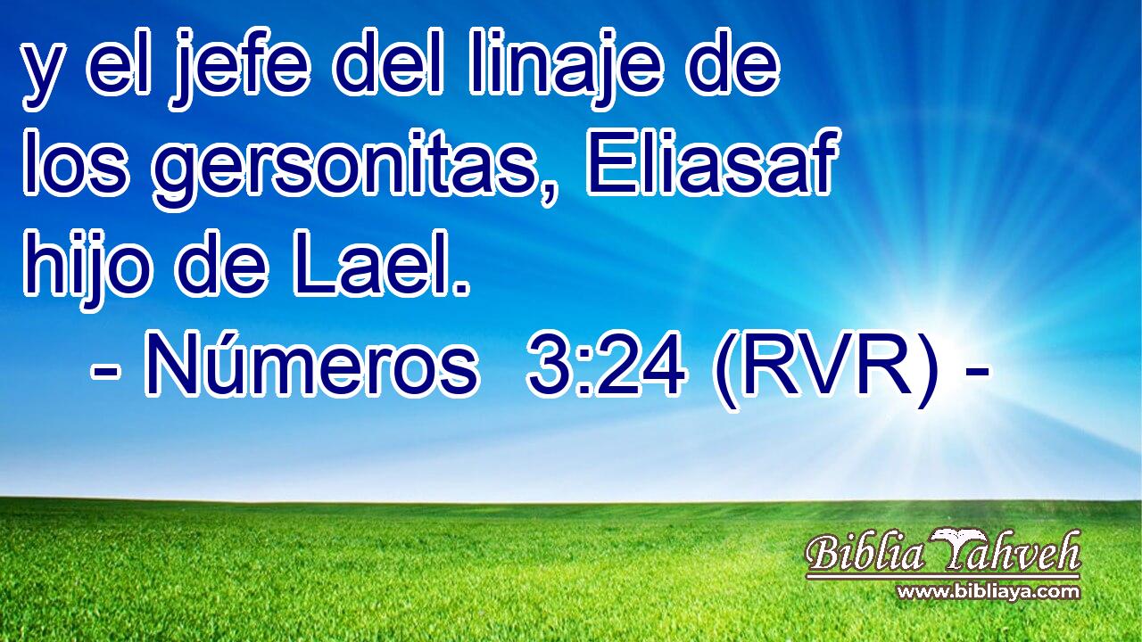 y el jefe del linaje de los gersonitas, Eliasaf hijo de Lael.