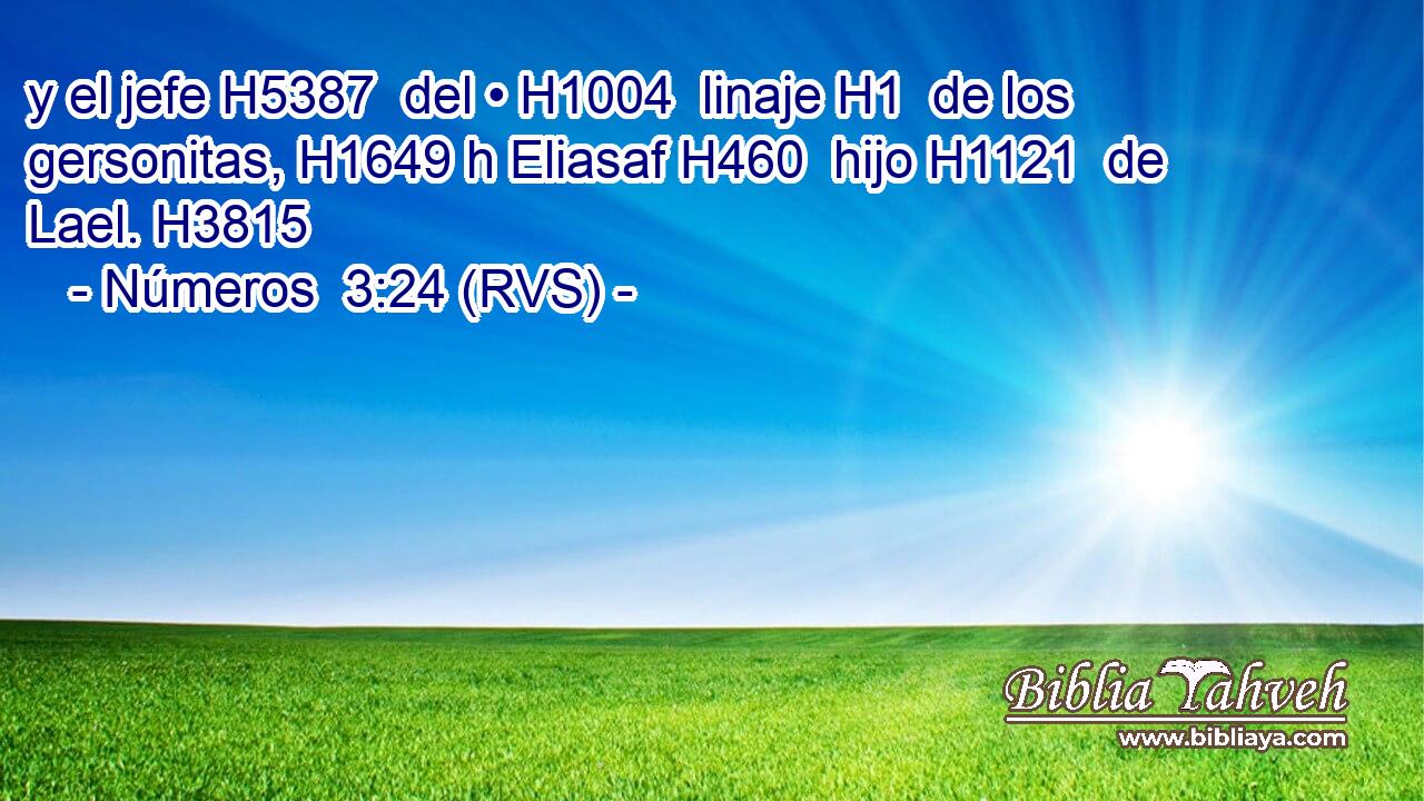 y el jefe H5387  del • H1004  linaje H1  de los gersonitas, H1649 h Eliasaf H460  hijo H1121  de Lael. H3815  