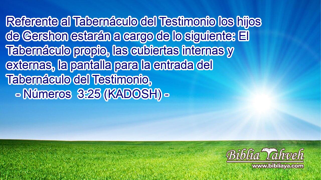  Referente al Tabernáculo del Testimonio los hijos de Gershon estarán a cargo de lo siguiente: El Tabernáculo propio, las cubiertas internas y externas, la pantalla para la entrada del Tabernáculo del Testimonio, 