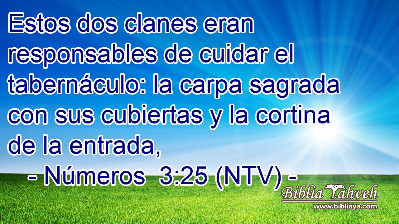 Estos dos clanes eran responsables de cuidar el tabernáculo: la carpa sagrada con sus cubiertas y la cortina de la entrada,