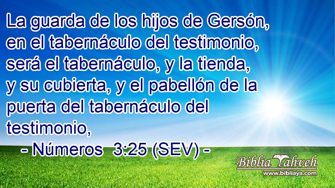 La guarda de los hijos de Gersón, en el tabernáculo del testimonio, será el tabernáculo, y la tienda, y su cubierta, y el pabellón de la puerta del tabernáculo del testimonio,