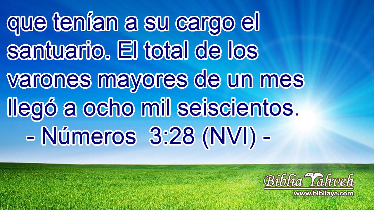 que tenían a su cargo el santuario. El total de los varones mayores de un mes llegó a ocho mil seiscientos. 