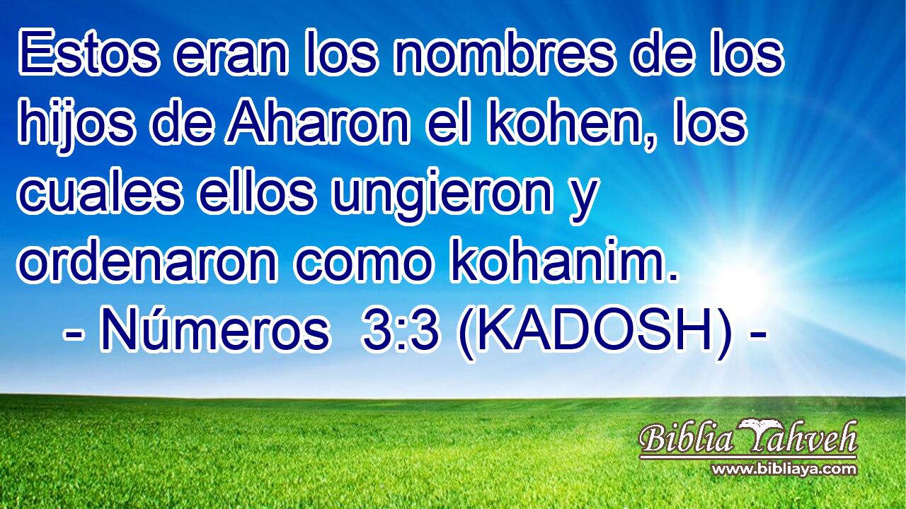  Estos eran los nombres de los hijos de Aharon el kohen, los cuales ellos ungieron y ordenaron como kohanim. 