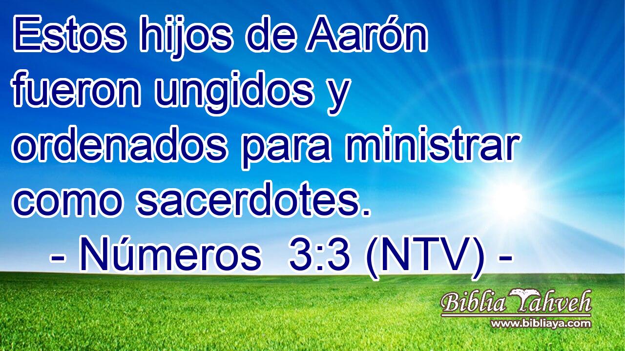 Estos hijos de Aarón fueron ungidos y ordenados para ministrar como sacerdotes.