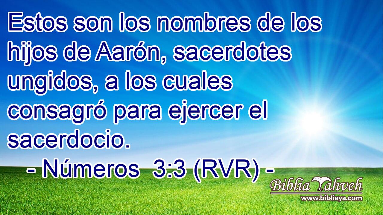 Estos son los nombres de los hijos de Aarón, sacerdotes ungidos, a los cuales consagró para ejercer el sacerdocio.