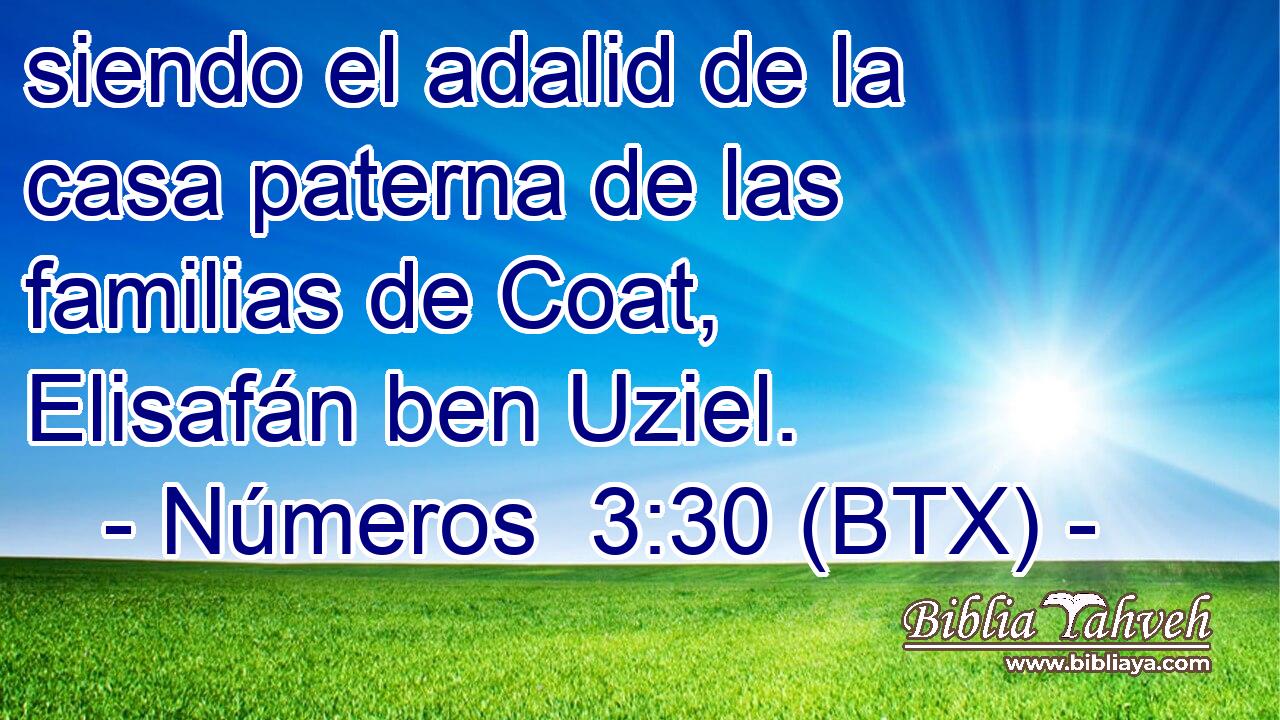 siendo el adalid de la casa paterna de las familias de Coat, Elisafán ben Uziel.