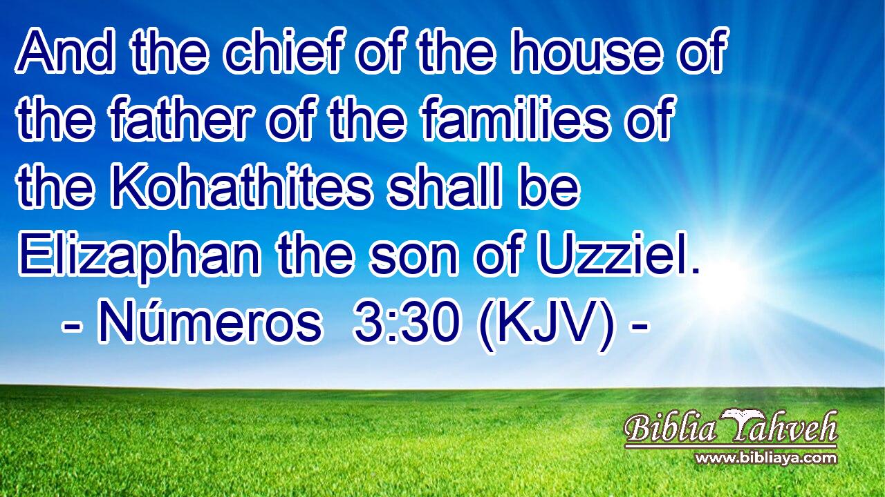 And the chief of the house of the father of the families of the Kohathites shall be Elizaphan the son of Uzziel.