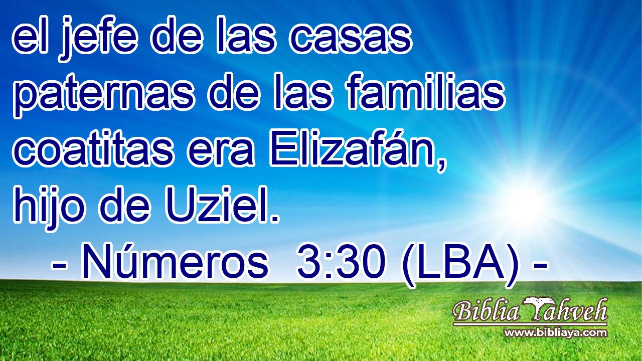 el jefe de las casas paternas de las familias coatitas era Elizafán, hijo de Uziel.