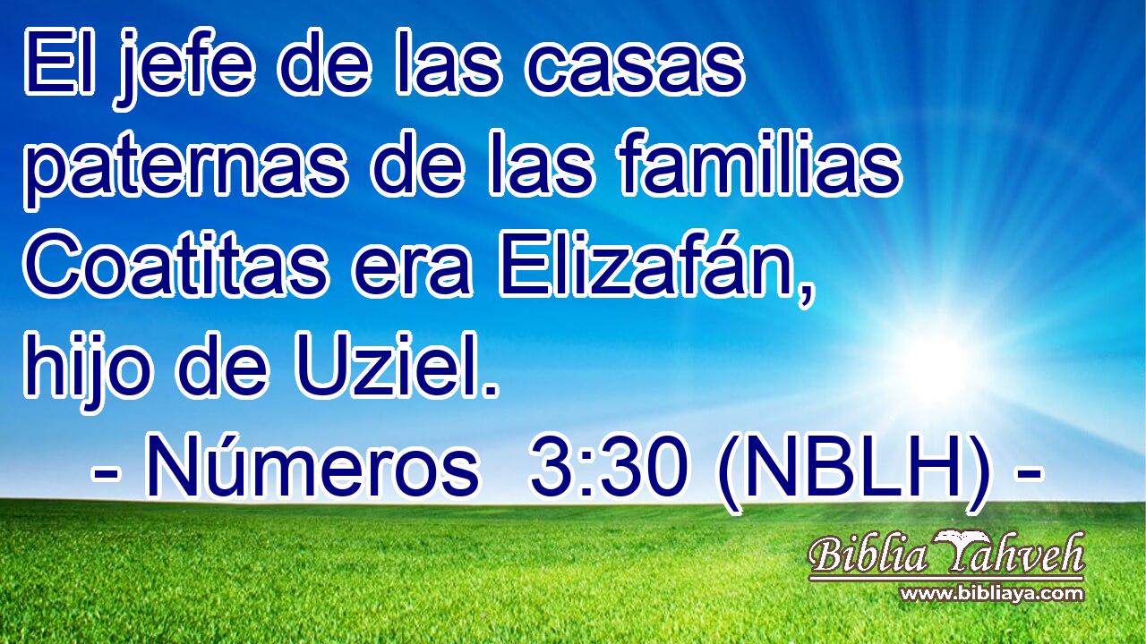  El jefe de las casas paternas de las familias Coatitas era Elizafán, hijo de Uziel. 