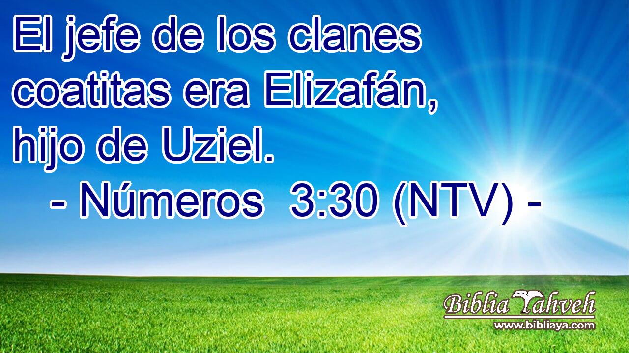 El jefe de los clanes coatitas era Elizafán, hijo de Uziel.