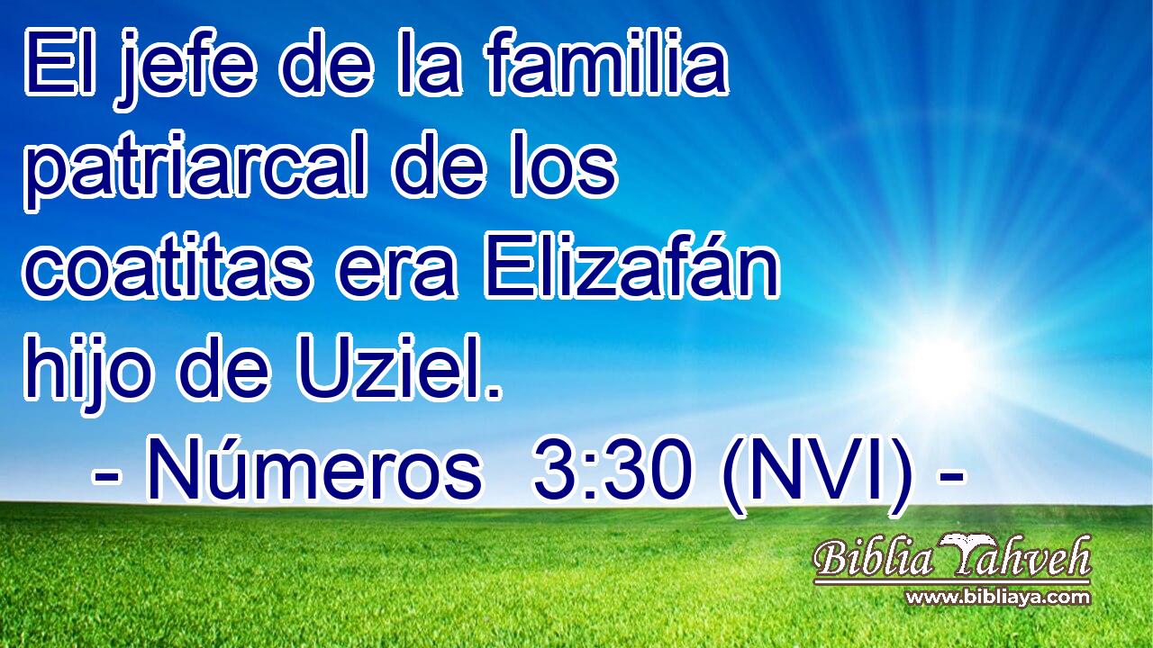  El jefe de la familia patriarcal de los coatitas era Elizafán hijo de Uziel. 