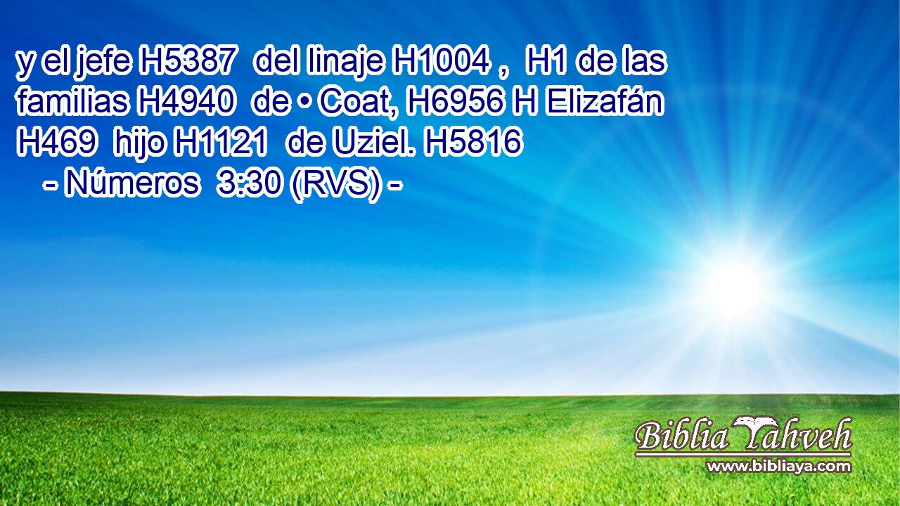 y el jefe H5387  del linaje H1004 ,  H1 de las familias H4940  de • Coat, H6956 H Elizafán H469  hijo H1121  de Uziel. H5816  