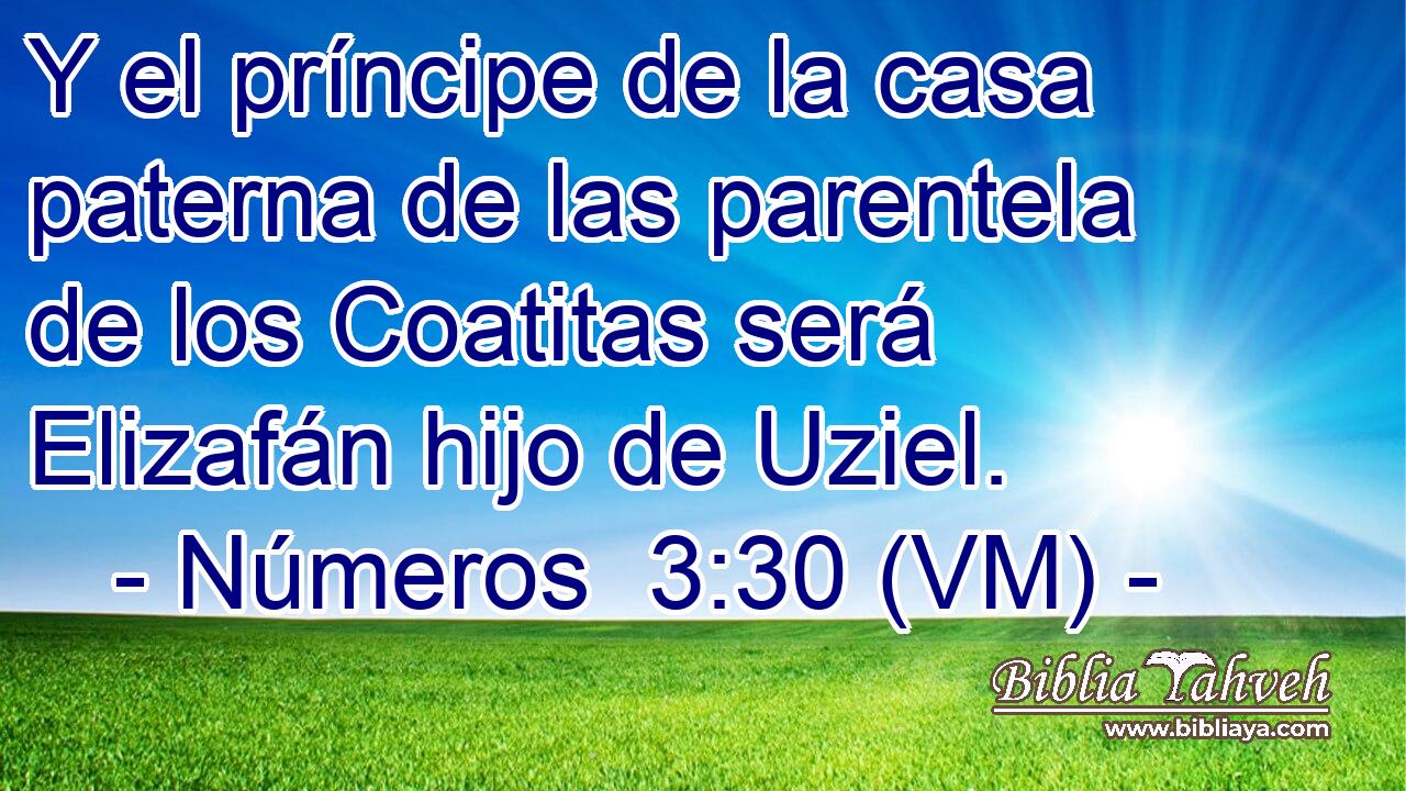  Y el príncipe de la casa paterna de las parentela de los Coatitas será Elizafán hijo de Uziel. 
