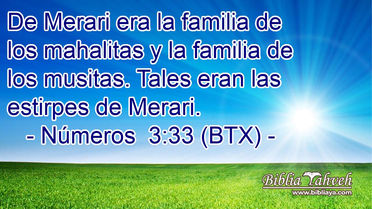 De Merari era la familia de los mahalitas y la familia de los musitas. Tales eran las estirpes de Merari.