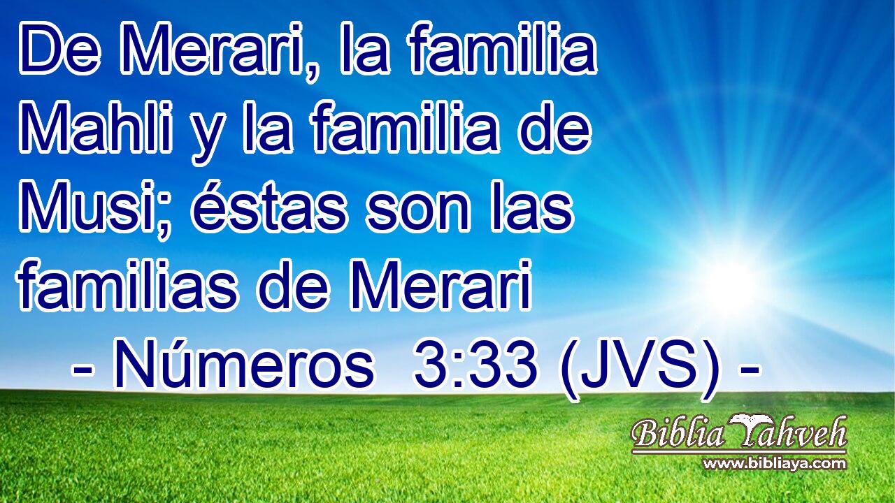 De Merari, la familia Mahli y la familia de Musi; éstas son las familias de Merari