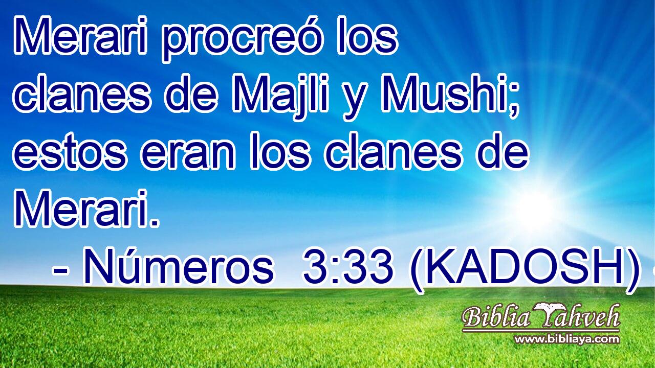  Merari procreó los clanes de Majli y Mushi; estos eran los clanes de Merari. 