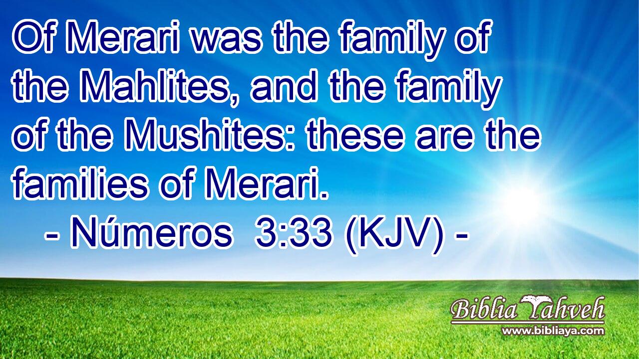 Of Merari was the family of the Mahlites, and the family of the Mushites: these are the families of Merari.